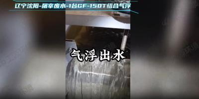 Liaoning Shenyang - Slaughterhouse Wastewater - 1 Set GF-150T Combined Air Flotation